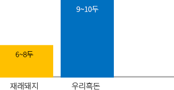 재래돼지(6-8두), 우리흑돈(9-10두)