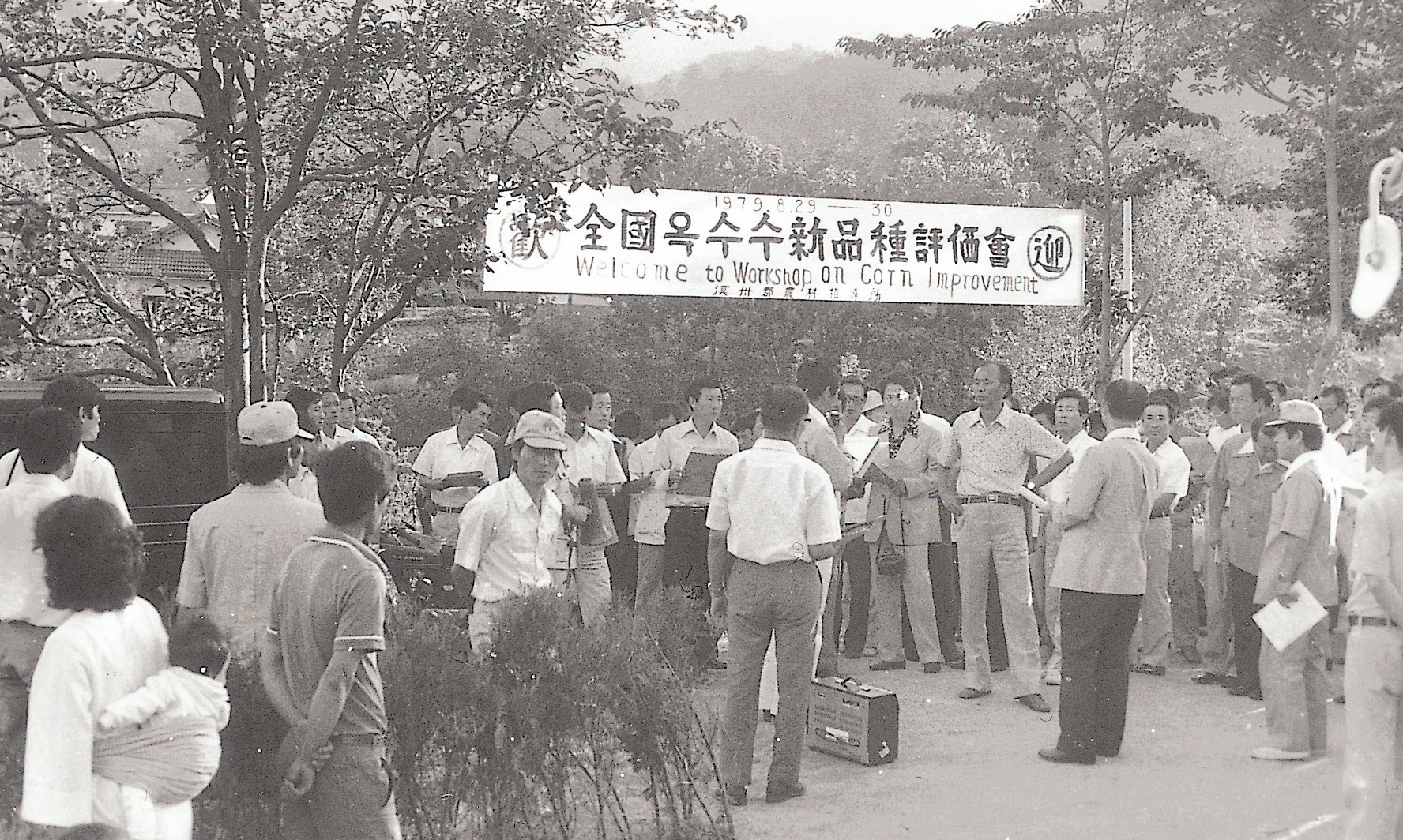전국 옥수수 신품종 평가회(조사료생산 1970년대) 사진1