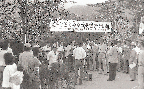 전국 옥수수 신품종 평가회(조사료생산 1970년대)