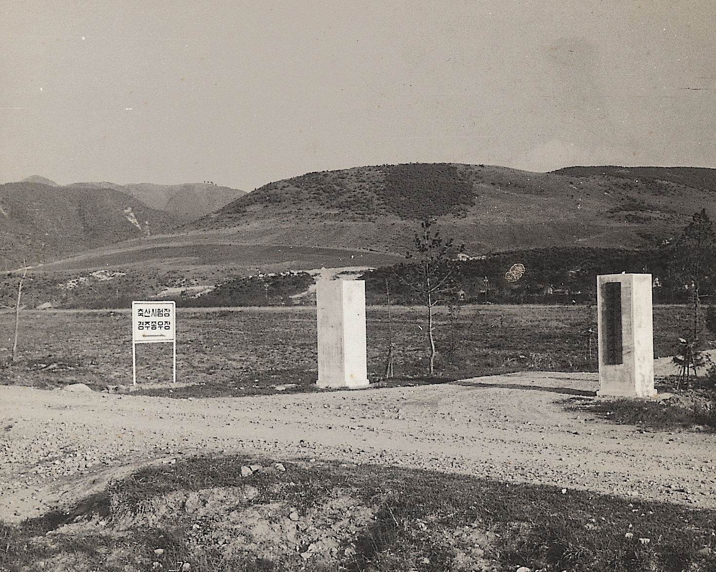 경주종우장입구(경주종우장1960년) 사진1
