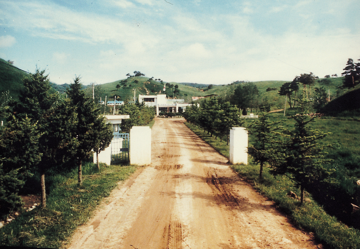 정문 진입로(대관령지장 1969년) 사진1
