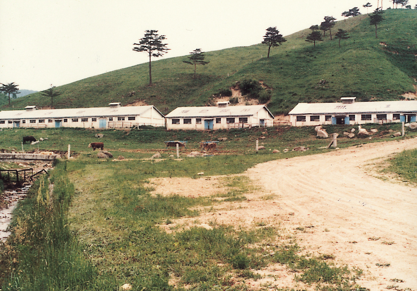 육우사 전경(대관령지장 1969년) 사진1