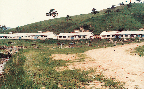 육우사 전경(대관령지장 1969년)