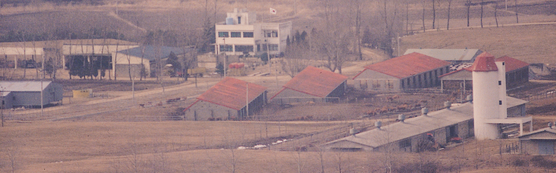 면양사 및 한우사(남원지장 1970년) 사진1