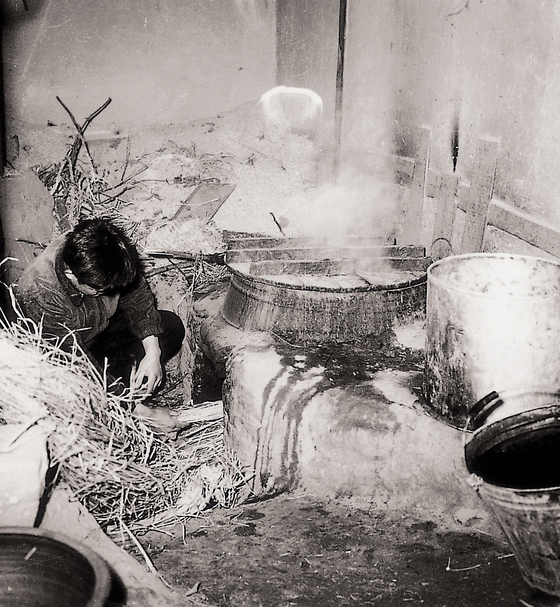 한우화식(한우 1960년대) 사진1