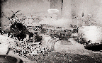 한우화식(한우 1960년대)