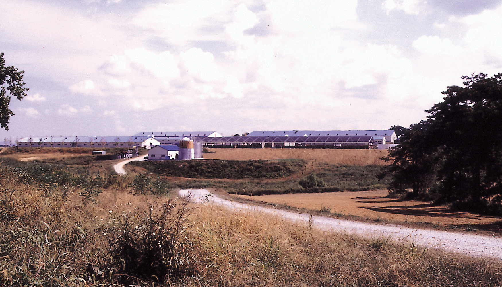 Site 2돈사 전경(중소 가축과) 사진1