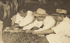 송아지 분만 돕기(젖소 1960년대)