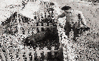 재래돼지의 사육돈사 (돼지 1960년대)