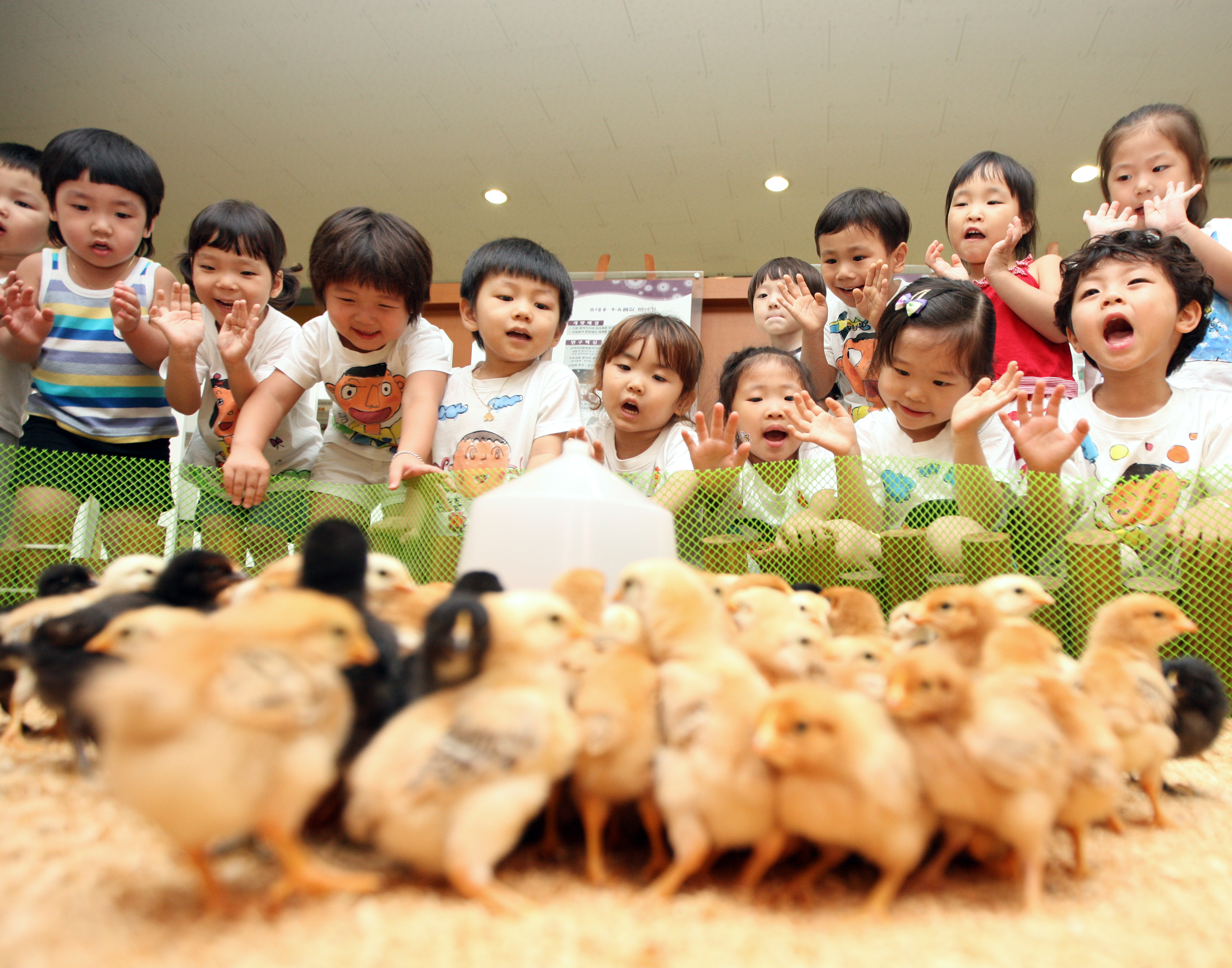 어린이 축산 소풍 사진1