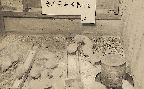 농가온돌 육추시험(닭 1960년대)