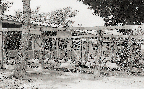 계사운동장(닭 1960년대)