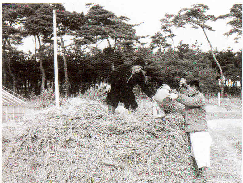 가성소다 볏짚처리(영양 생리 1960년대) 사진1