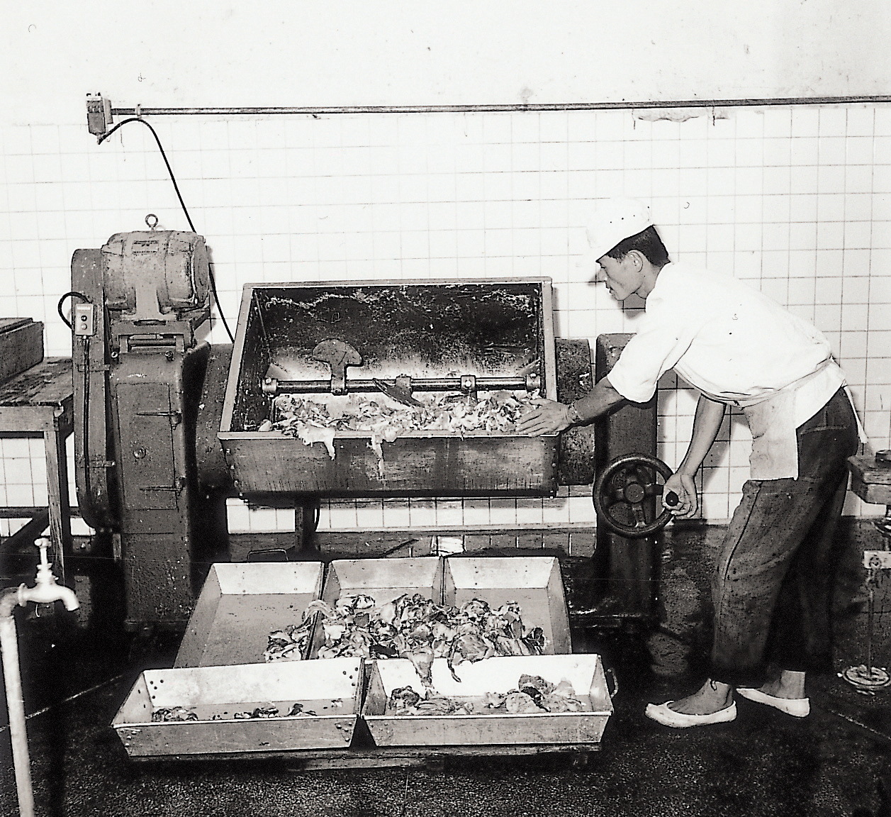육제품 원료 혼합(축산물이용 1960년대) 사진1