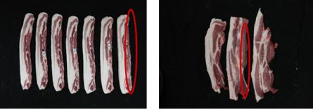 좌측사진은 세로로 절단되어 있는 삽겹살 부위 복부 피하지방층 반대면에는 근막이 있어 매끄럽고 우측사진은 세로로 절단된 앞다리살이 나열되어 있으며 칼로 절단되어 매끄럽지 않다.