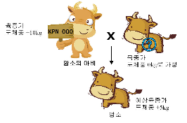 내가 가진 암소의 능력