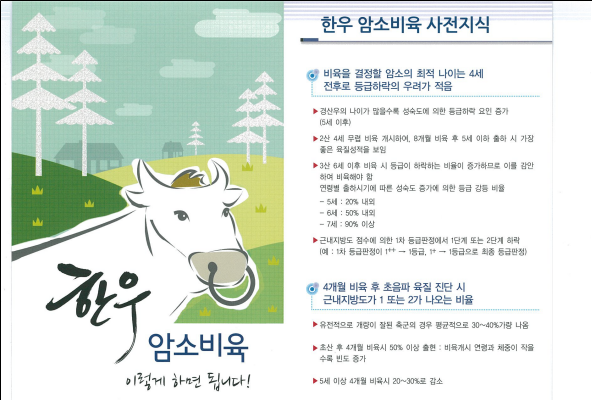 한우 암소 비육에 대한 사전 지식