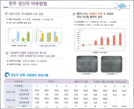 한우 경산우 비육 방법