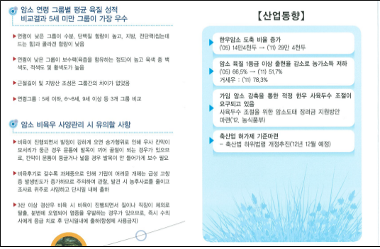 암소비육우 사양 관리 유의점 및 산업동향