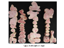 골화 진행이 많이 된 사골