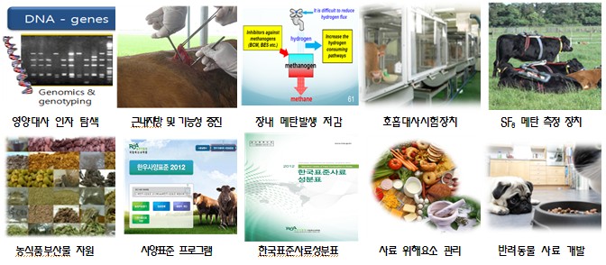 영양대사인자탐색, 근내지방 및 기능성 증진, 장내메탄발생저감, 호흡대사시험장치, SF메탄측정장치, 농식품부산물자원, 사양표준프로그램, 한국표준사료성분표 책자, 사료위해요소관리, 반려동물사료개발 사진