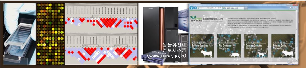 동물유전체정보시스템 홈페이지 화면