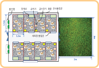 설명 이미지 - 견사실외운동장 결합형. 하나의 큰 실외운동장을 공동으로 사용한다.