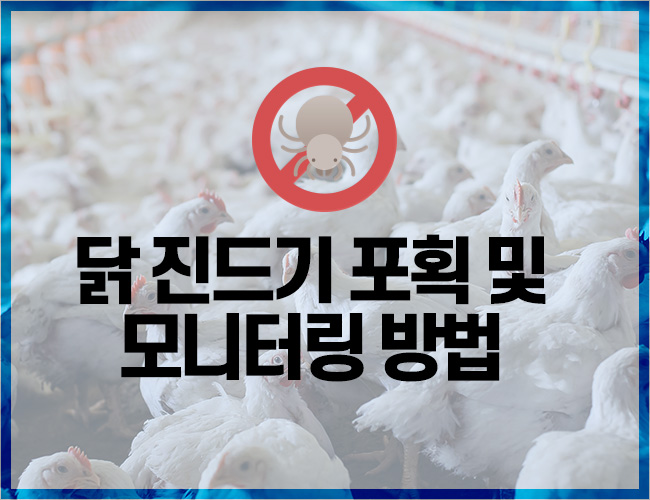 닭 진드기 포획 및 모니터링 방법