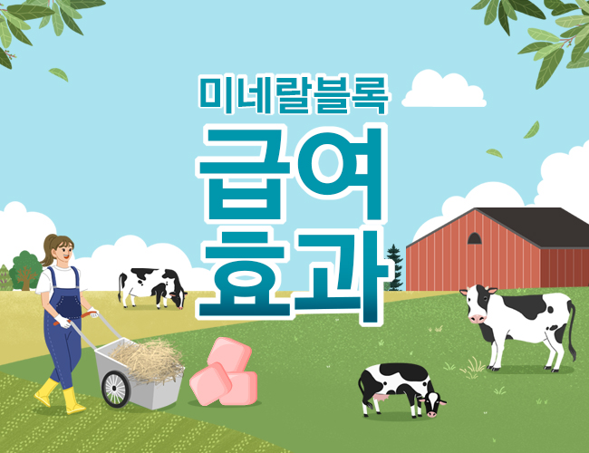 미네랄 블록 급여효과
