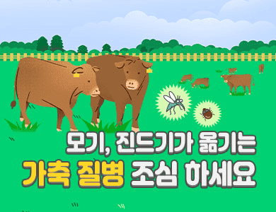 모기, 진드기가 옮기는 가축 질병 조심 하세요