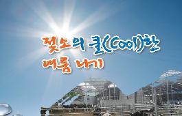 [새창]젖소의 쿨(Cool)한 여름나기
