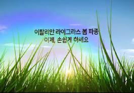 [새창]이탈리안 라이그라스 봄 파종 이제, 손쉽게 하세요