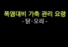 [새창]폭염대비 가축 관리 요령 _ 닭.오리