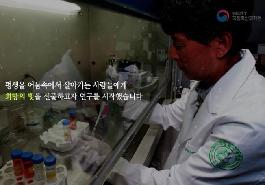 [새창]돼지 각막 이식 꿈이 아닌 현실로 만들다