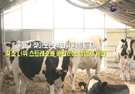 [새창]젖소 더위 스트레스를 해결하는 영양제 개발