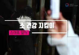 [새창]소 건강 지킴이, 스마트 알약