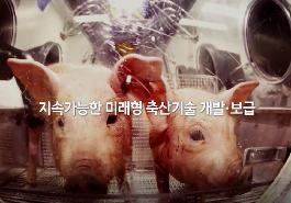 [새창]2018 우리 원 성과보고회
