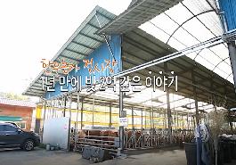 [새창]정부혁신 우수사례 경진대회 발표