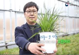 [새창]하늘이 준 선물 이탈리안 라이그라스 코윈어리