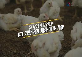 [새창]ICT기반 육계 체중 예측 기술