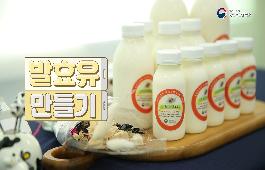 [새창]발효유 만들기