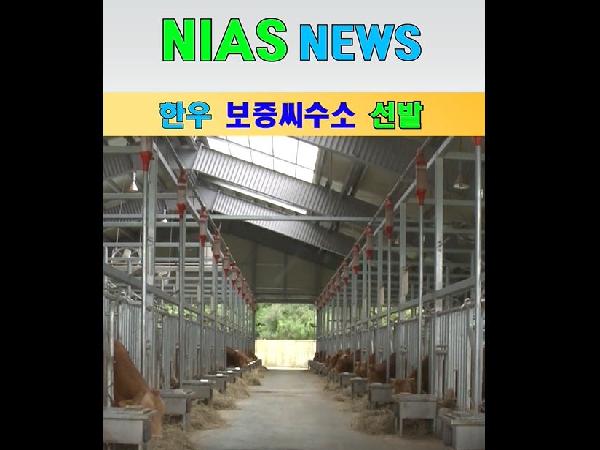 [새창]한우 보증씨수소