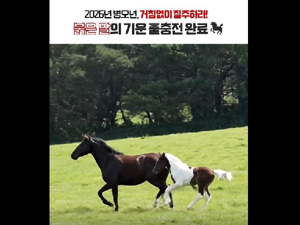 [새창]붉은 말의 해