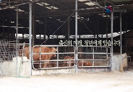 [새창]축산의 미래, 청년에게 있습니다.