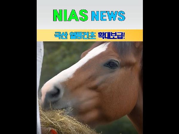 [새창]국산 열풍건초, 말 사료에서 한우·젖소 사료까지 확대