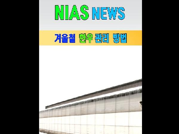 [새창]겨울철 한우 관리방법