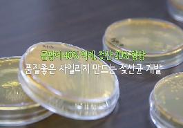 [새창]품질좋은 사일리지 만드는 젖산균 개발 