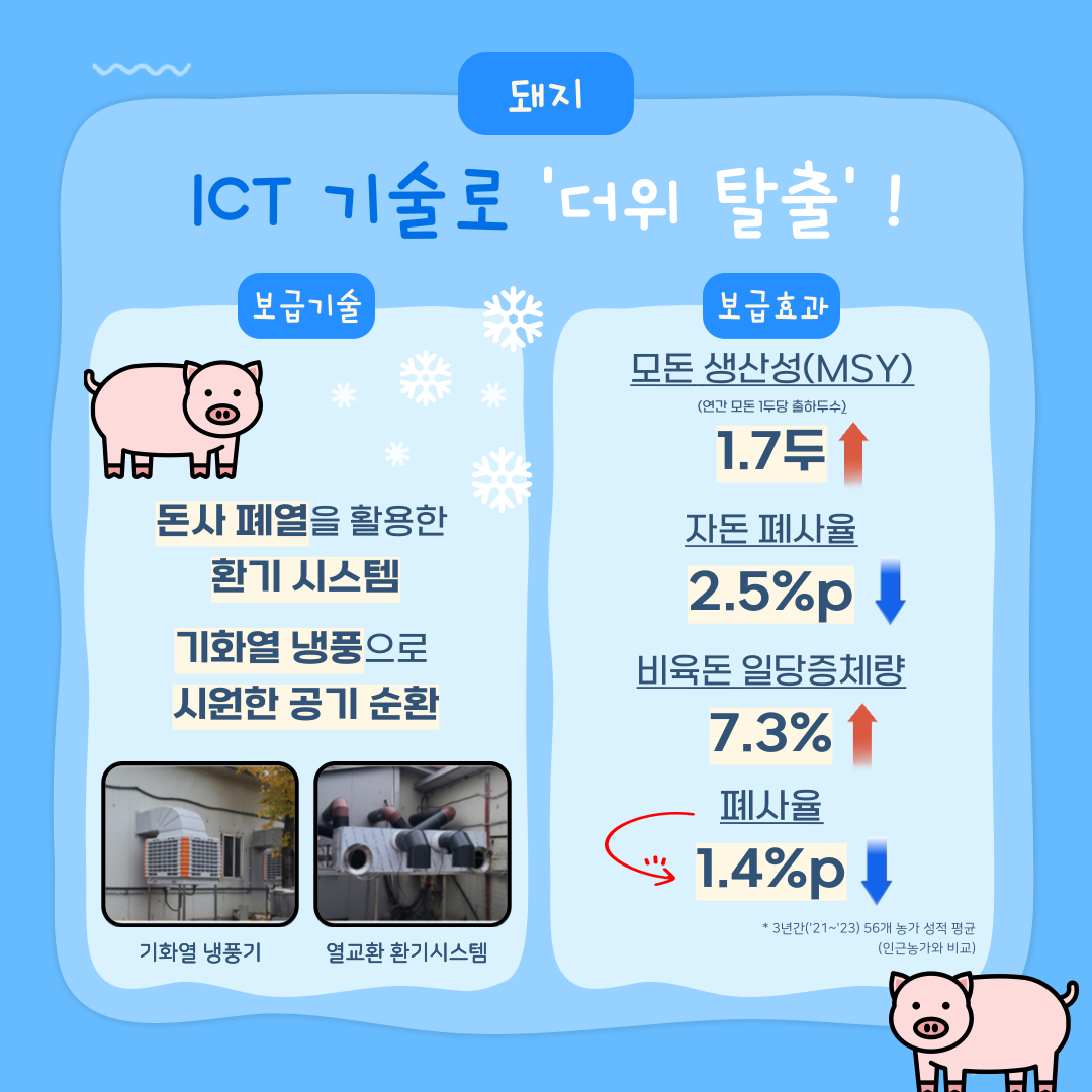 돼지 ICT 기술로 '더위 탈출'! 보급기술 돈사 폐열을 활용한 환기 시스템 기화열 냉풍으로 시원한 공기 순환 기화열 냉풍기 및 열교환 환기시스템 사진 보급효과 모돈 생산성(MSY) (연간 모돈 1두당 출하두수) 1.7두 증가 자돈 폐사율 2.5%p 감소 비육돈 일당증체량 7.3% 증가 폐사율 1.4%p 감소 * 3년간('21~'23) 56개 농가 성적 평균(인근농가와 비교)
