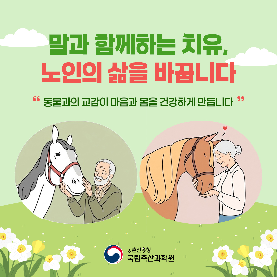 말과 함께하는 치유, 노인의 삶을 바꿉니다 동물과의 교감이 마음과 몸을 건강하게 만듭니다 농촌진흥청 국립축산과학원