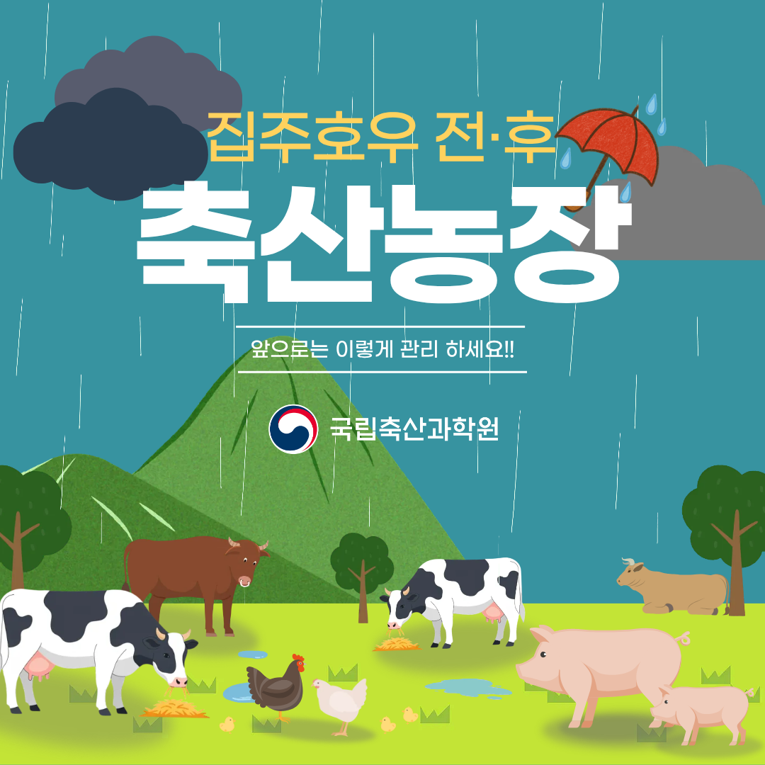 집중호우 전·후 축산농장 앞으로는 이렇게 관리 하세요!